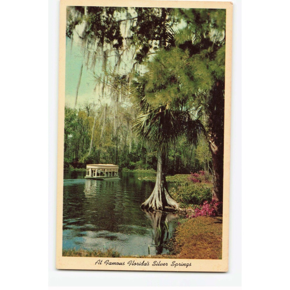 Vintage Florida Silver Springs Glass Bottom Boat Postcard Ektachrome B Mozert